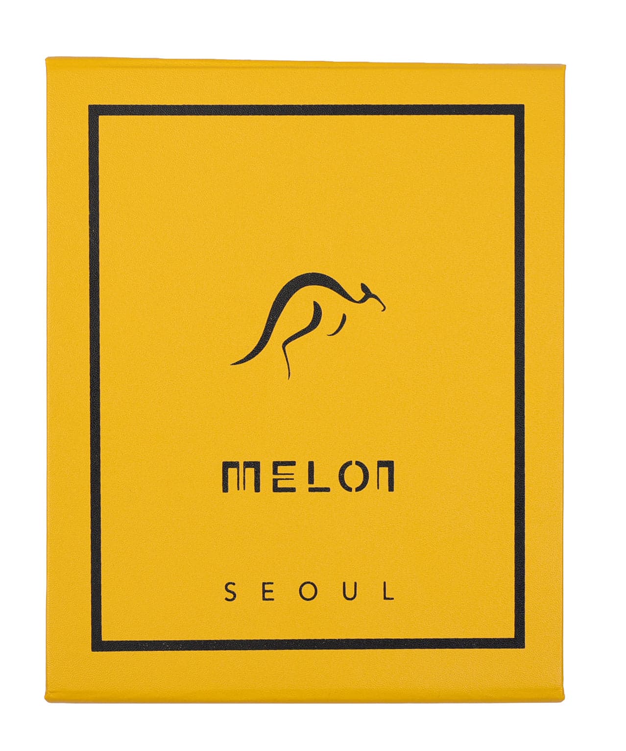 Melon Gift Pack 06 - 2 Pieces Set (Seoul) - Image 4